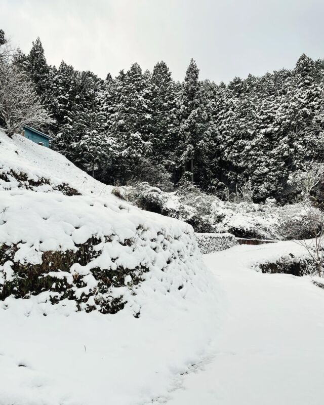本日、自宅付近積雪により臨時休業いたします☃️
皆様お気をつけてお過ごしください。

#徳島　#東みよし町　#雪の為臨時休業します　#積雪